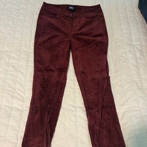 Paige Hoxton Ankle